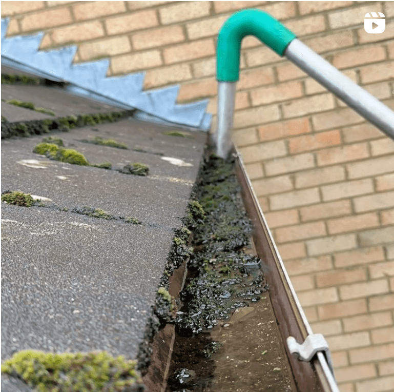 Gutter Tile cleaning service, Washing Roof Tiles, tile cleaning
